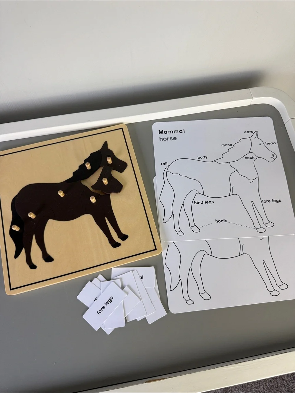 Montessori Wooden Horse Puzzle with Silhouette - Educational